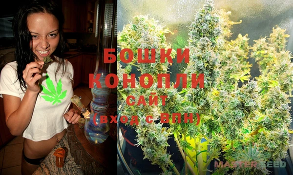 МДПВ Няндома