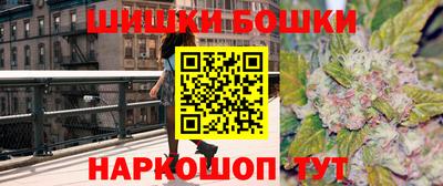 индика Бийск