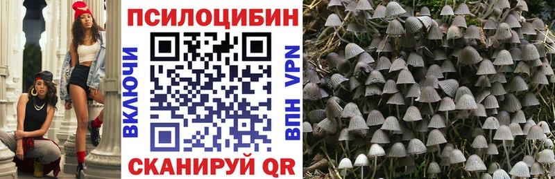 Галлюциногенные грибы Psilocybe  Североуральск 